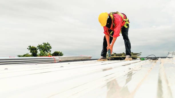 Best Gutter Installation and Repair  in Leon Valley, TX