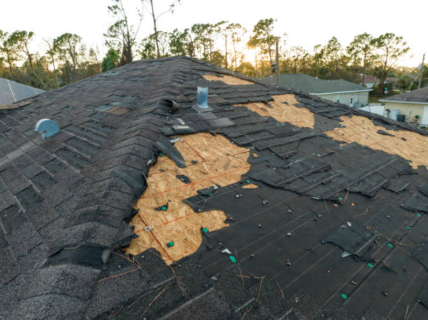 Best Wood Shake Roofing  in Leon Valley, TX