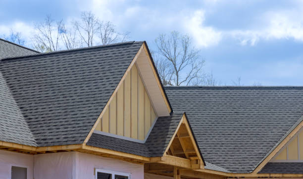 Best Skylight Installation and Repair  in Leon Valley, TX