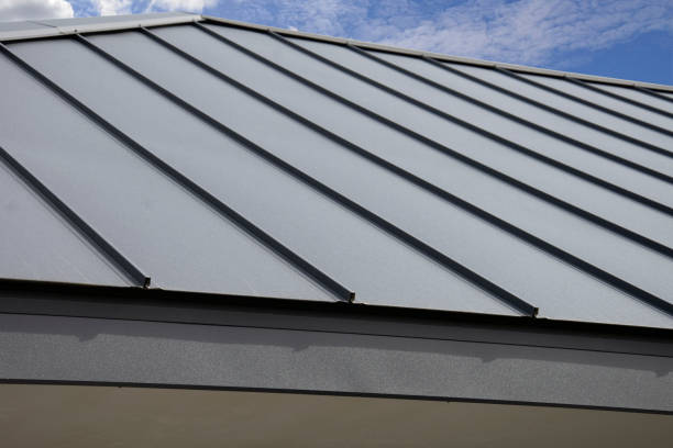 Best Roof Ventilation Installation  in Leon Valley, TX